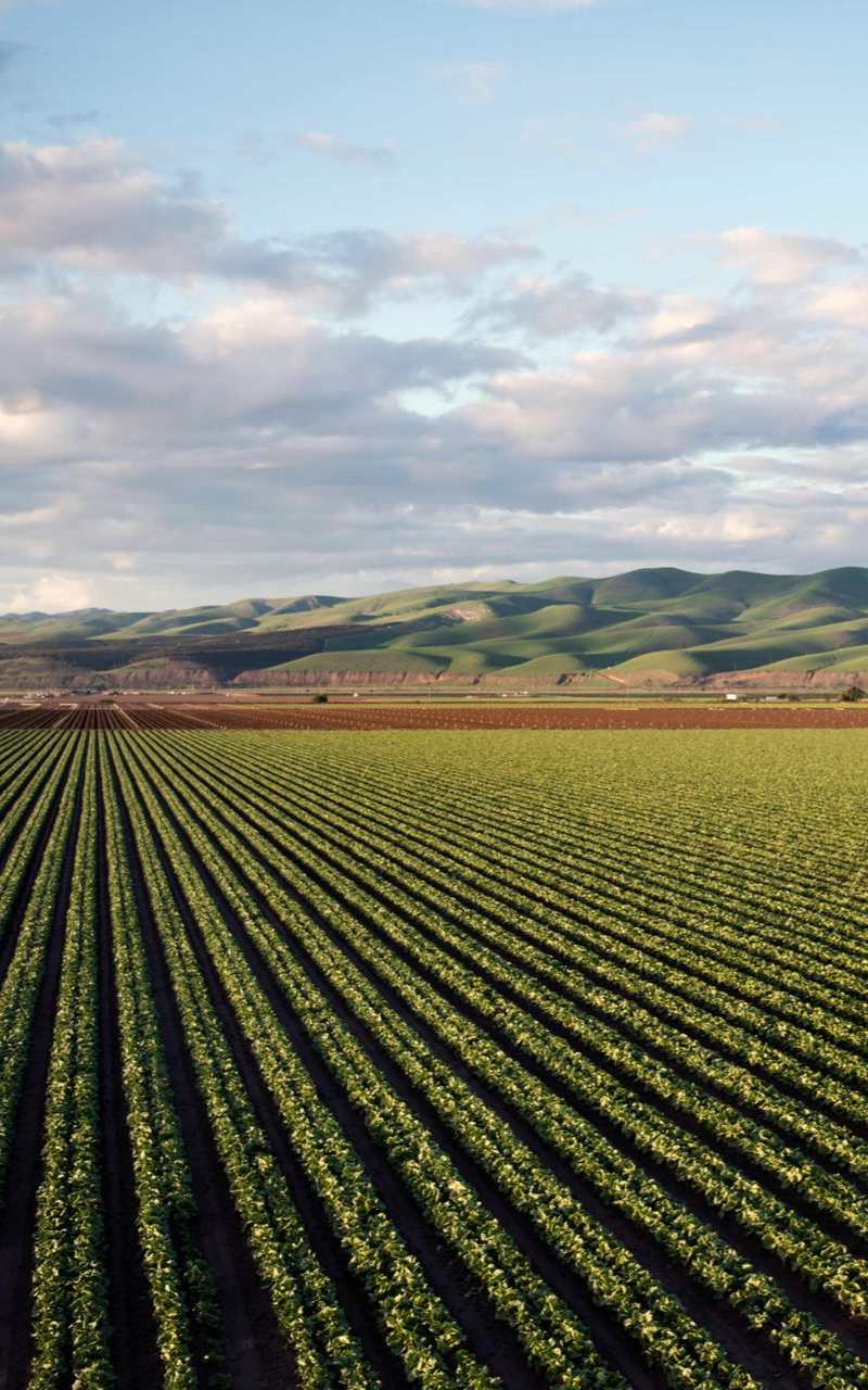 Unlock Your Business Potential with Business Consultant, Sarah Daly