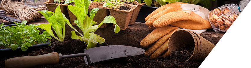 A person is planting plants in a garden with gloves and a trowel.