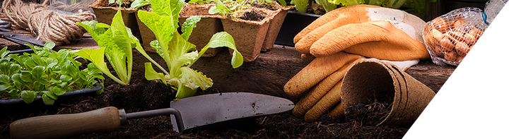 A person is planting plants in a garden with gloves and a trowel.