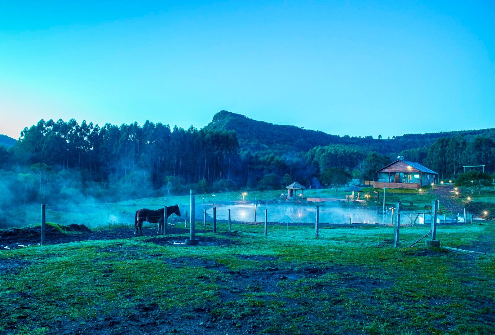 Um cavalo está parado em um campo próximo a um lago à noite.