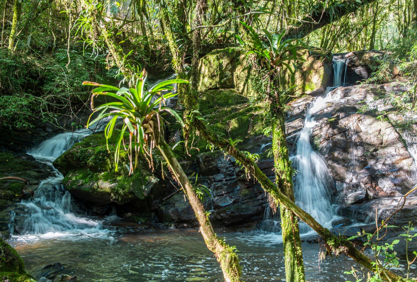 Uma pequena cachoeira no meio de uma floresta cercada por árvores.