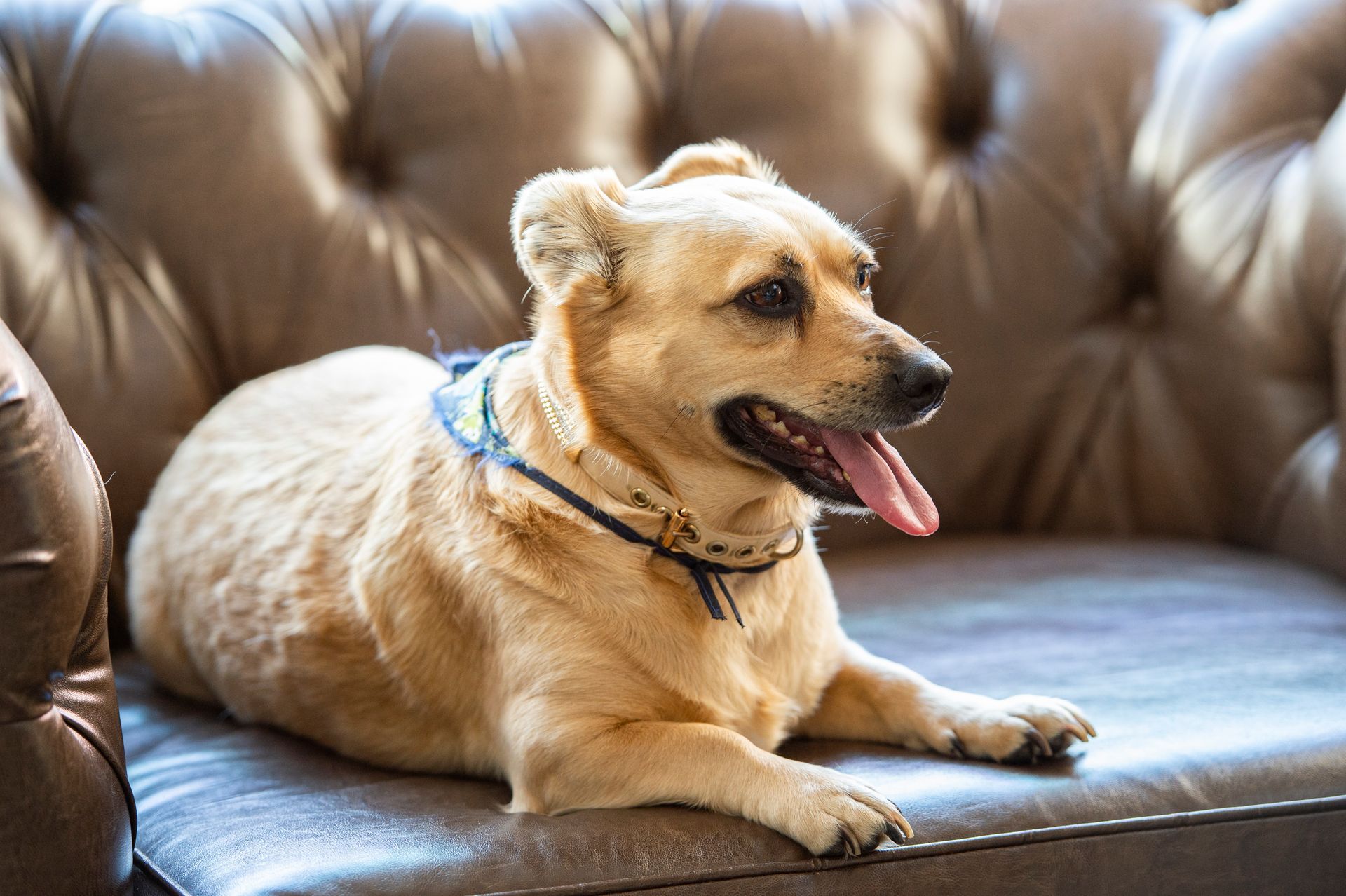 Hotel Refúgio da Montanha - Pet Friendly