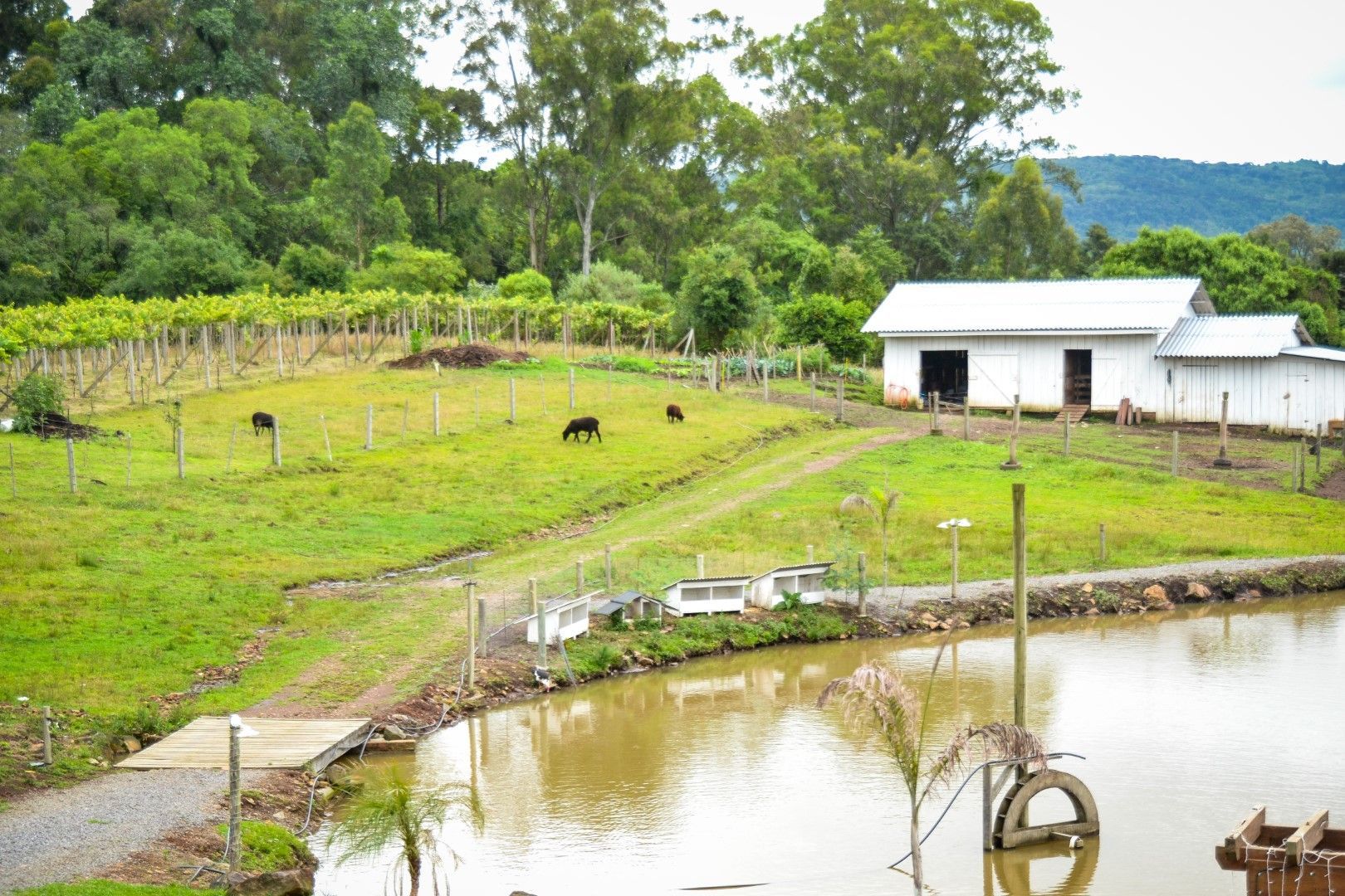 Uma fazenda com um lago e um celeiro ao fundo