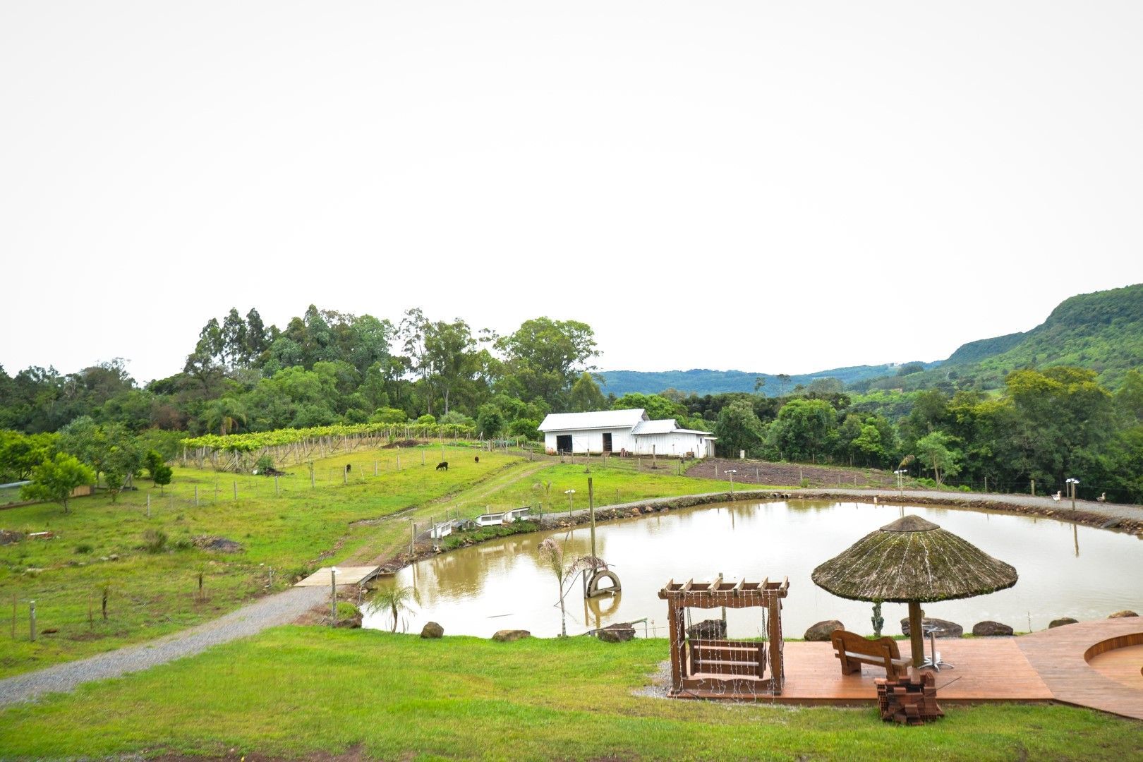 Há um pequeno lago no meio de um campo gramado.