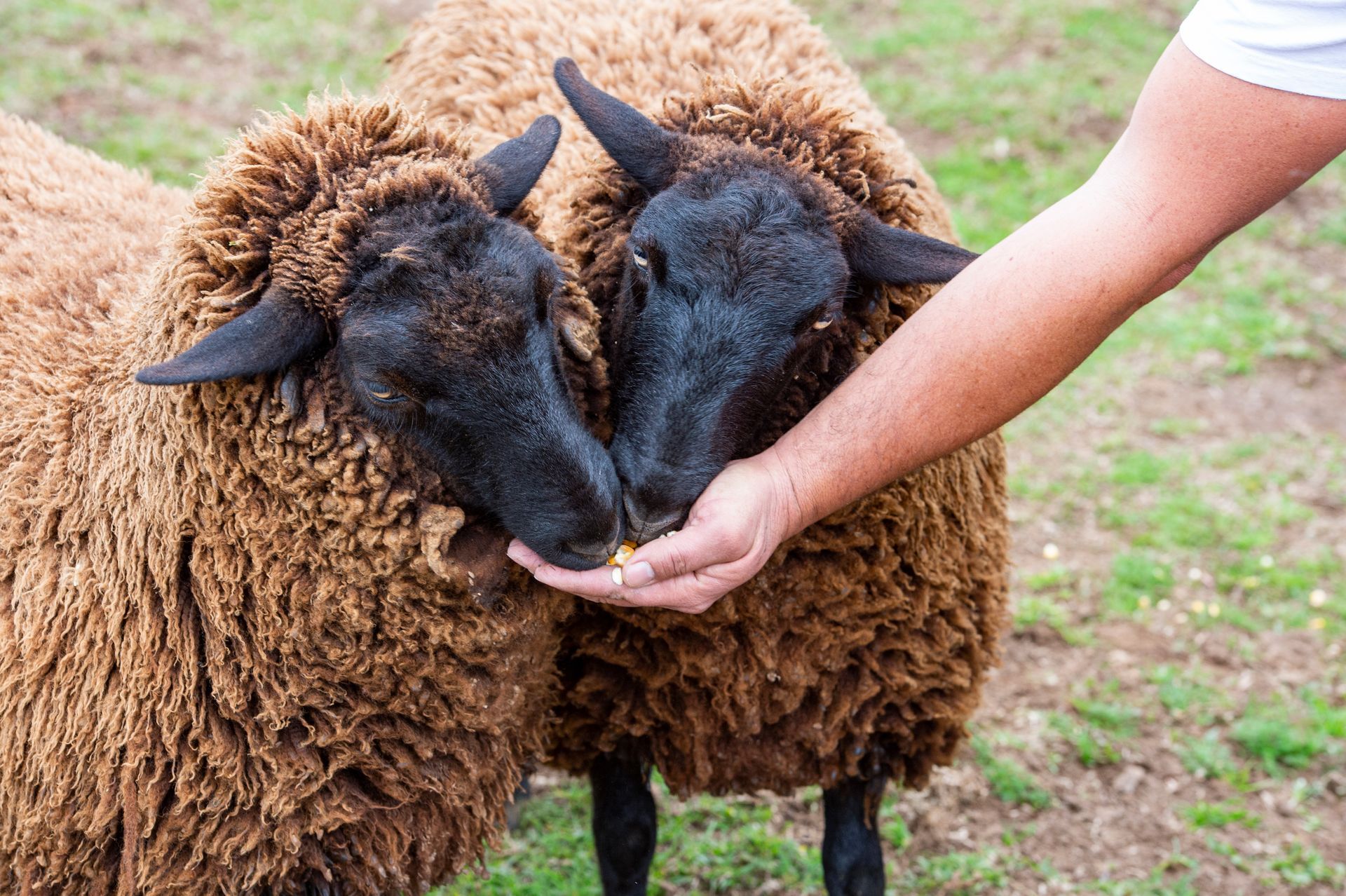 Hotel Refúgio da Montanha - Refúgio do Vale