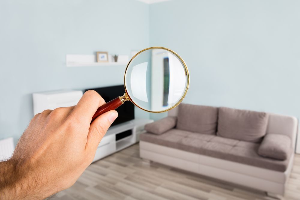 Hand holding a magnifying glass, focusing on a wall in a living room with a couch and television — Scott MacTaggart Building & Pest Inspections In Tuncurry, NSW