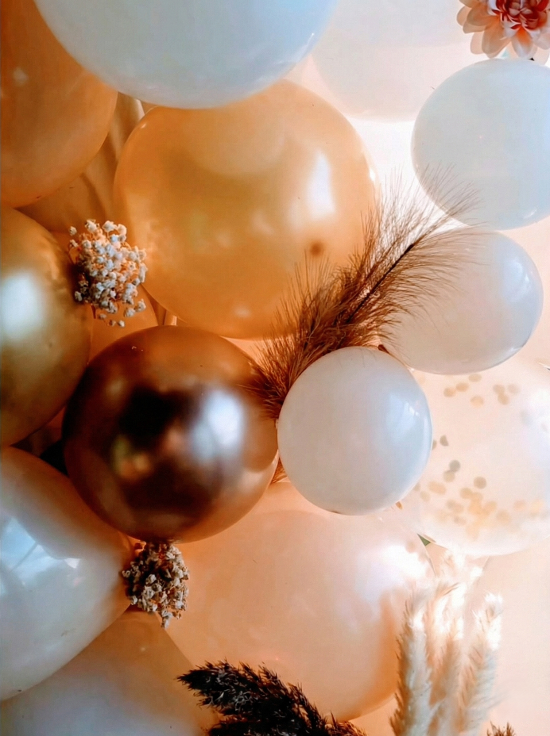 Gros plan sur des ballons dorés, blancs et transparents agrémentés de fleurs séchées, parfaits pour une fête.