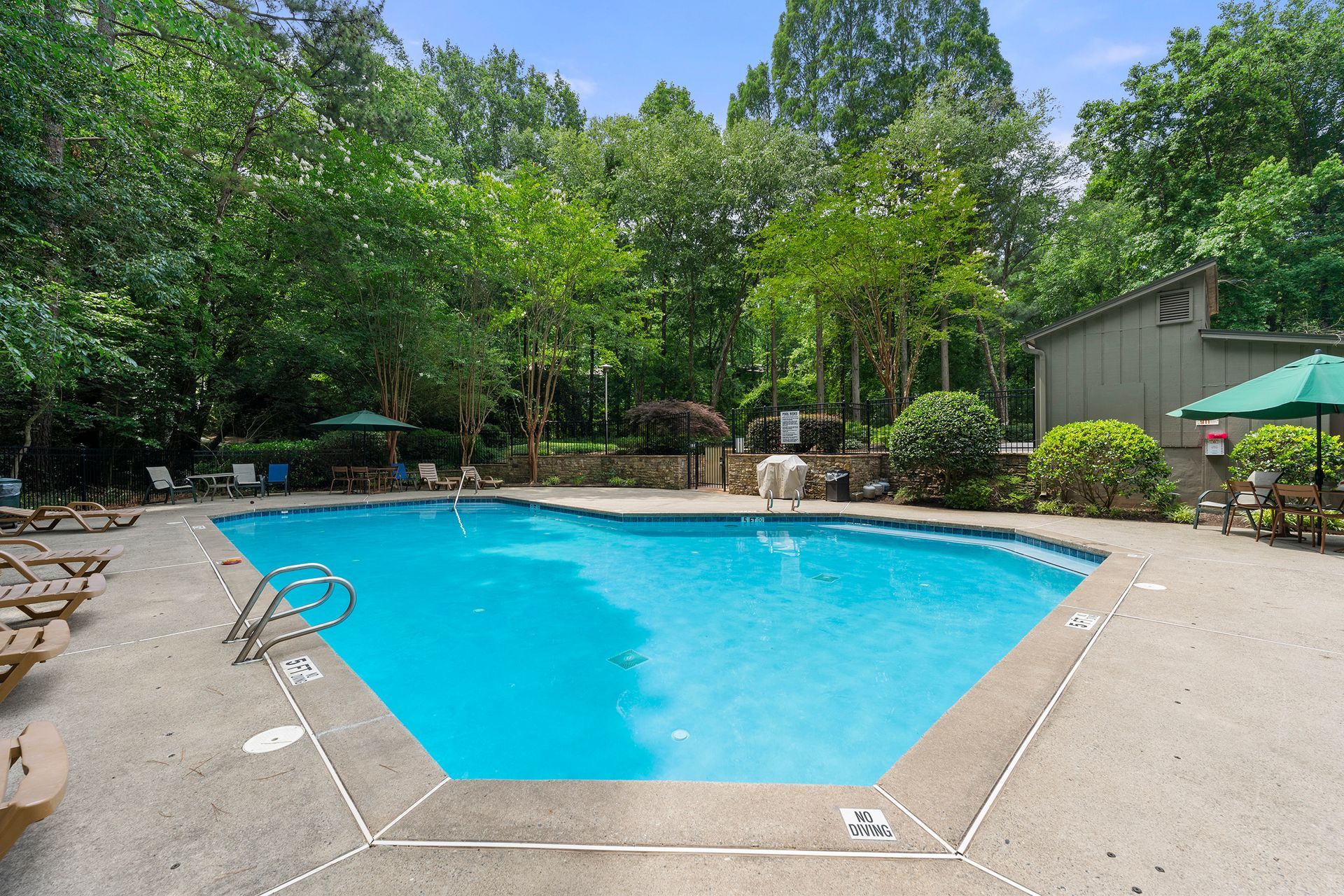A large swimming pool surrounded by trees and umbrellas