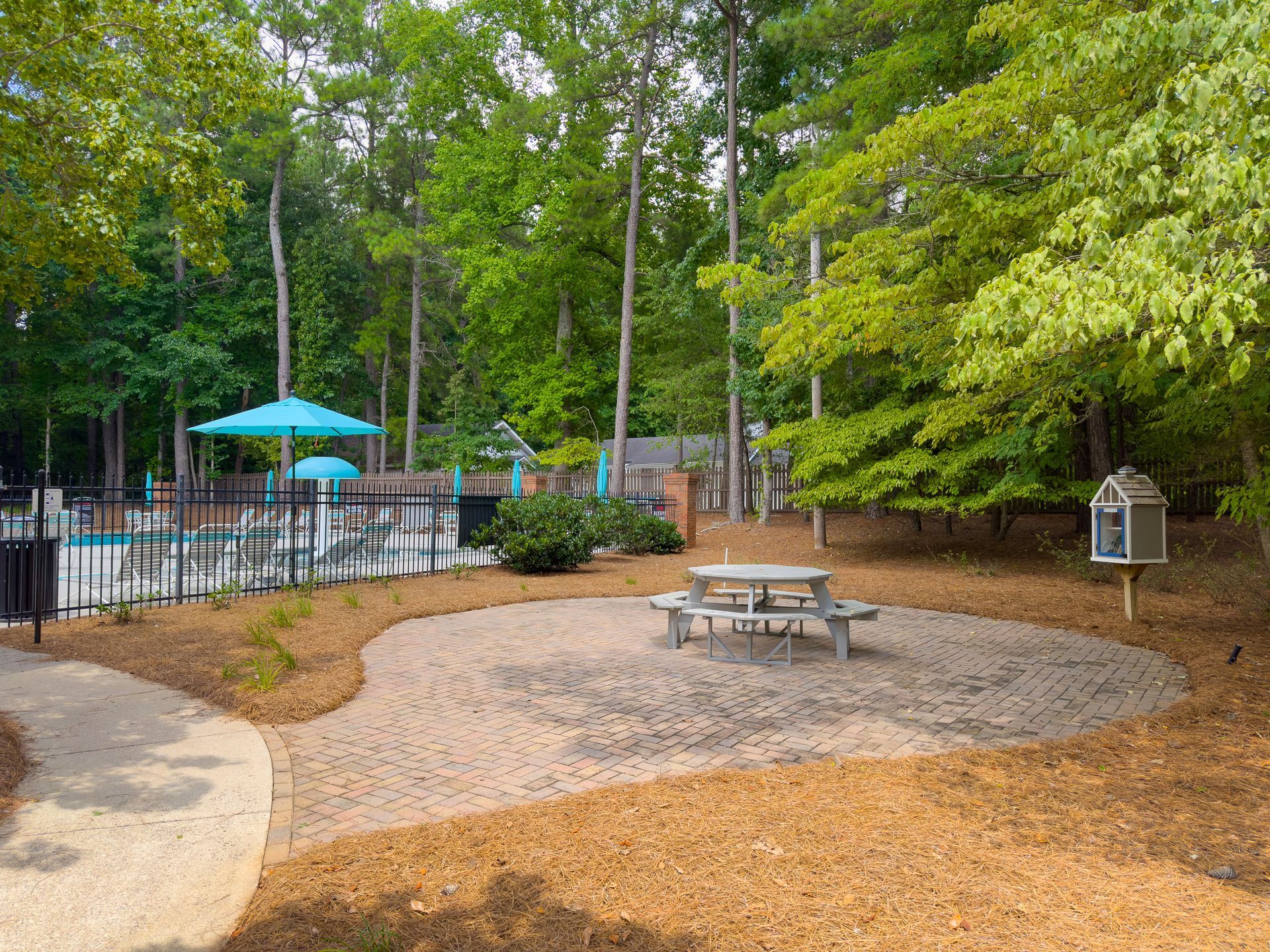 There is a picnic table in the middle of the woods near a pool.