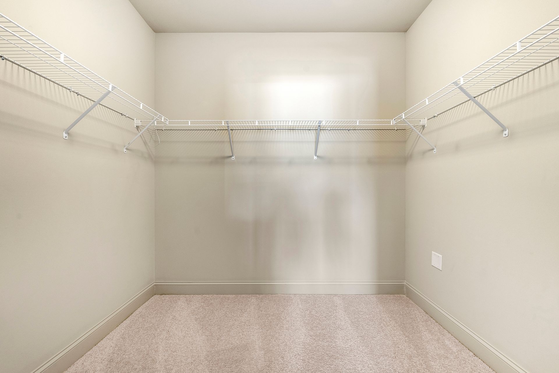 An empty walk in closet with a carpeted floor and shelves.