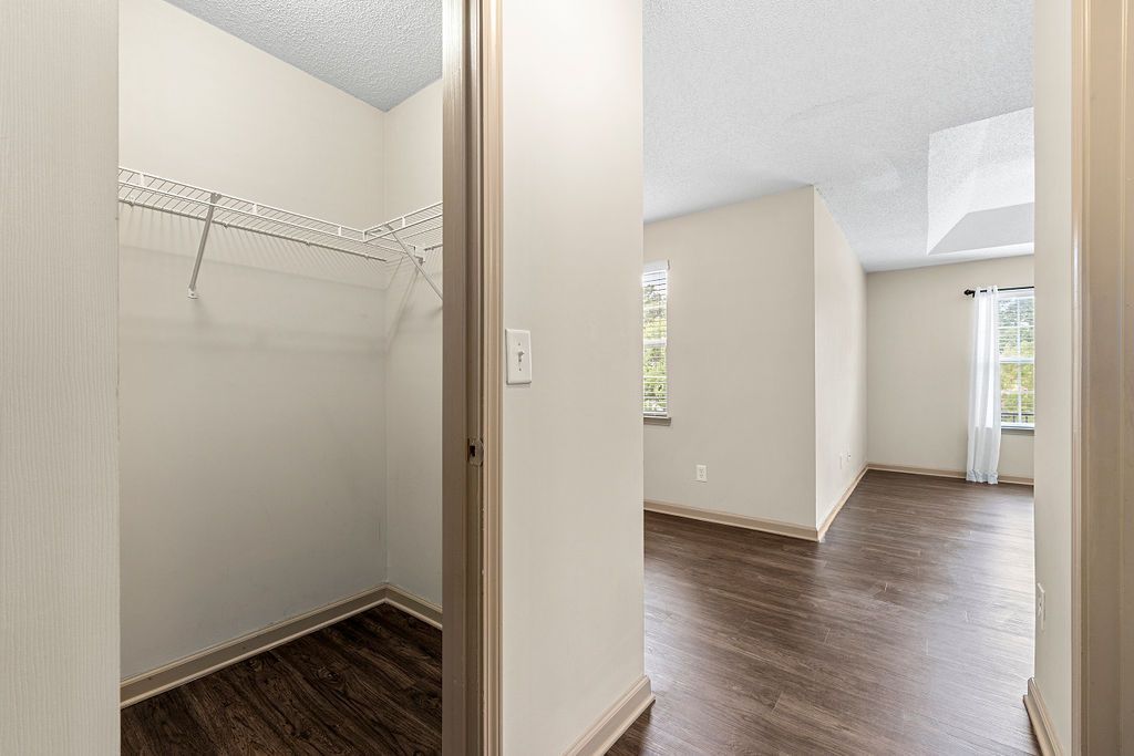 A hallway with a closet and a living room in a house.
