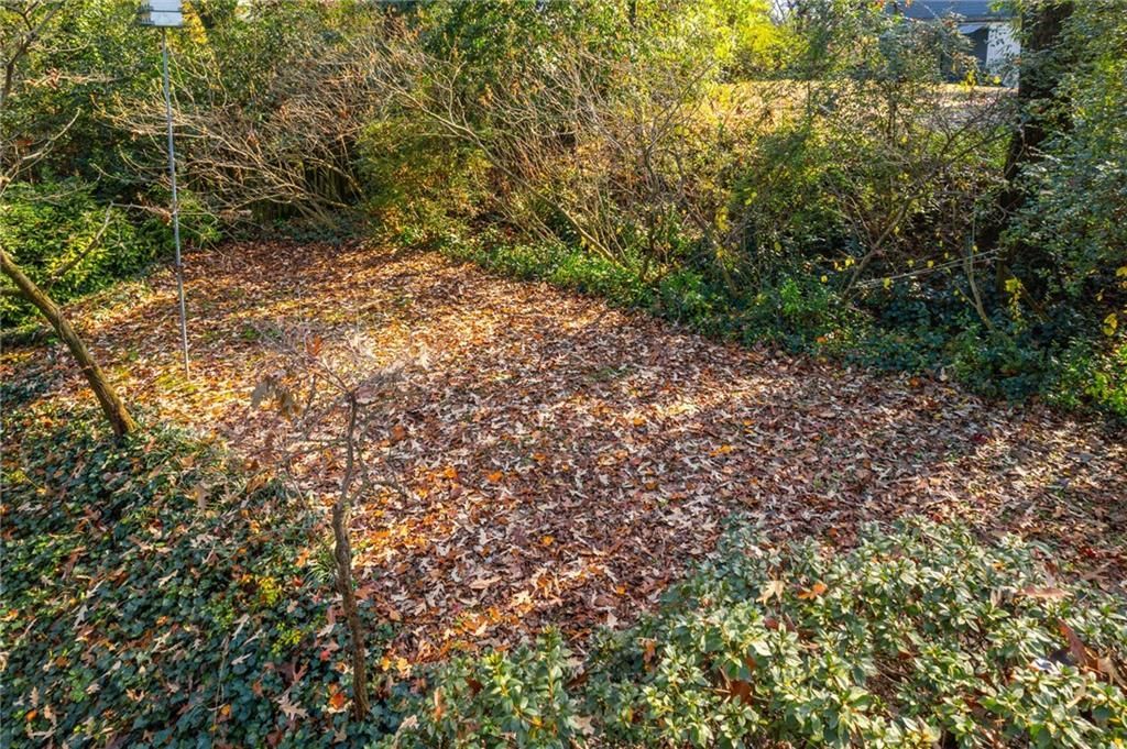 A patch of fallen brown leaves on the ground, surrounded by green foliage, in a sunlit outdoor setting.
