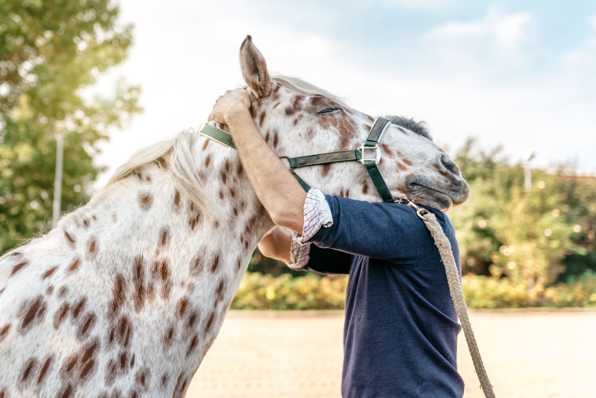 Persona che abbraccia un cavallo maculato all'aperto. La testa del cavallo è appoggiata sulla spalla della persona.