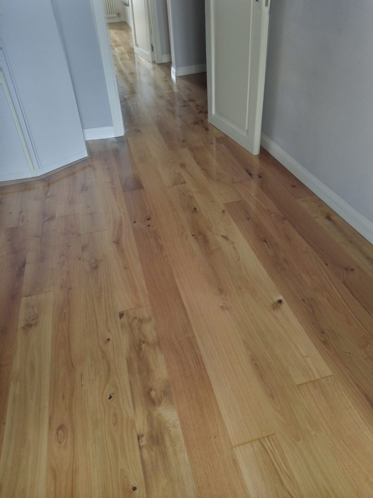 Pavimento in legno in un corridoio con porte bianche e pareti grigie, luce naturale.