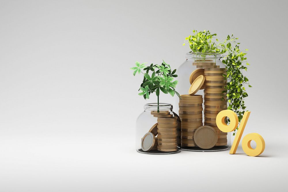 Stacks of Coins With Plants Growing Out of Them, and a Gold Percent Symbol — Into Finance Lending Solutions in Taree, NSW