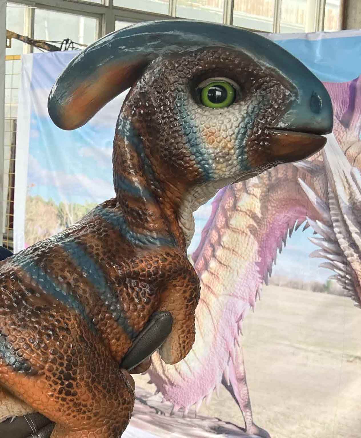 Winston the Baby T. rex