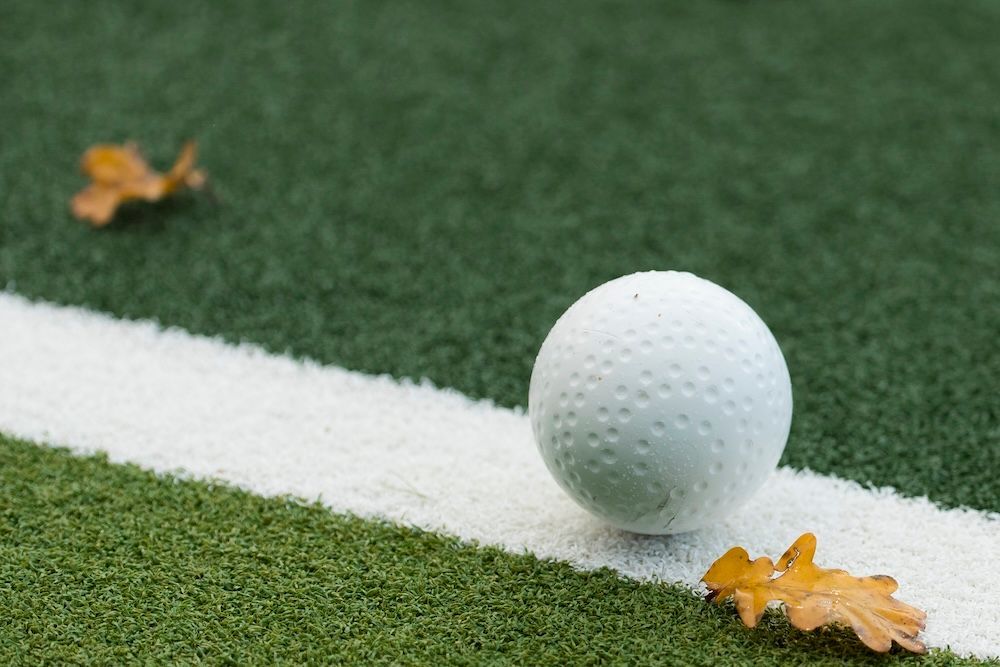 a field hockey bal lying on a sideline of the field surrounded by a few autumn leaves