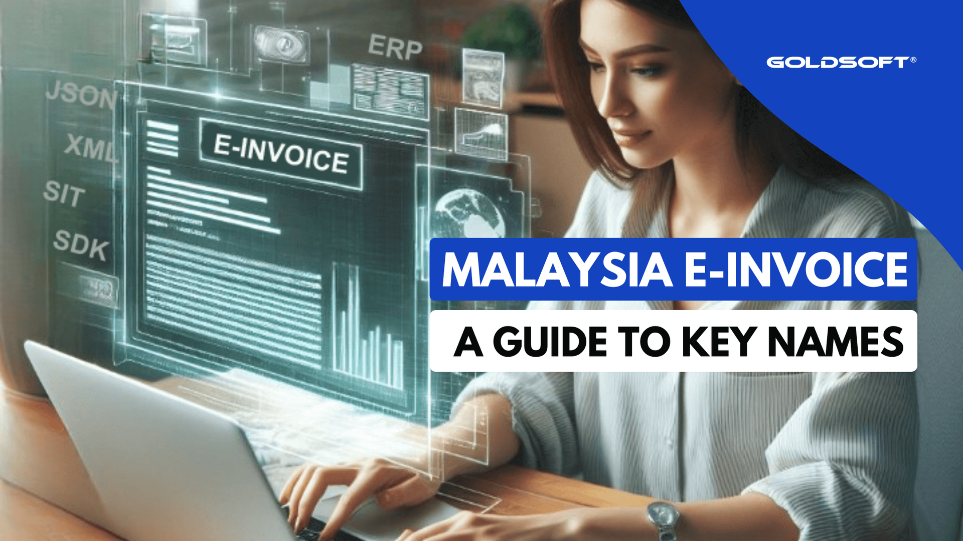 Understanding Malaysia e-invoice key names e.g. ERP, SDK, SIT, API and more.