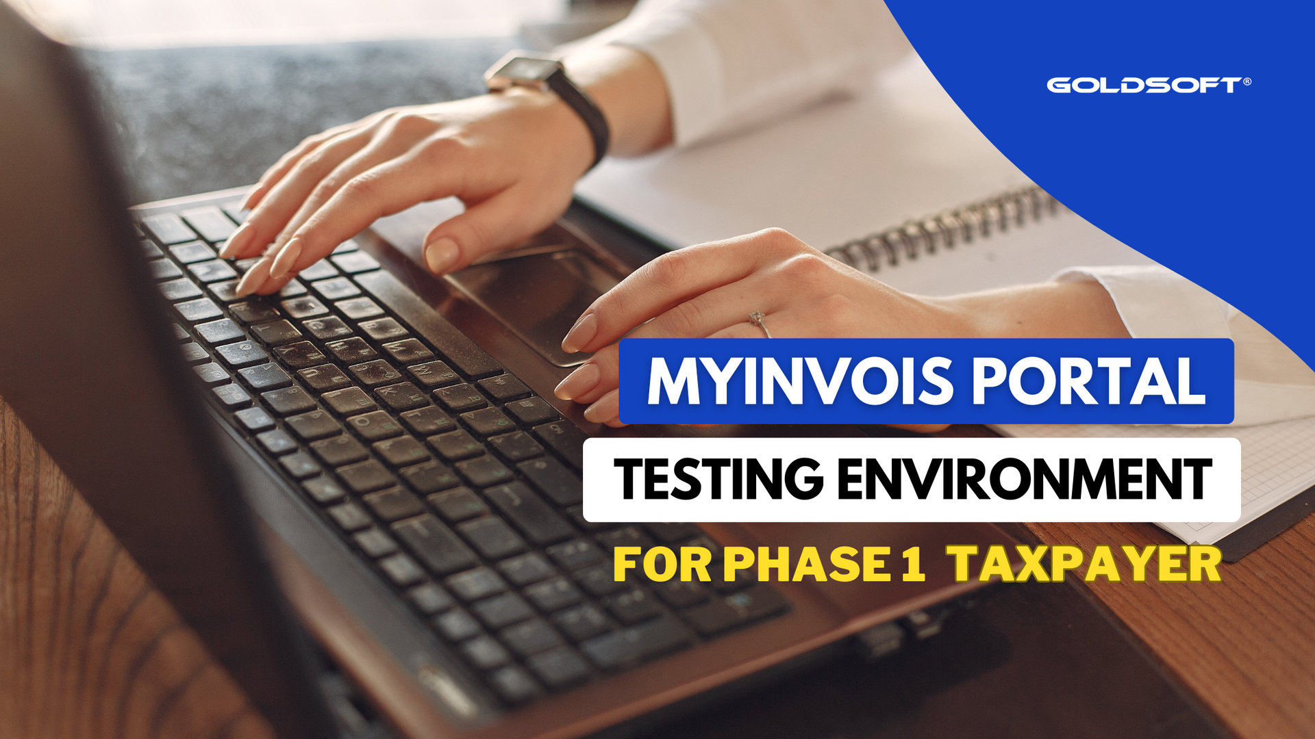 MyInvois Portal Testing Environment