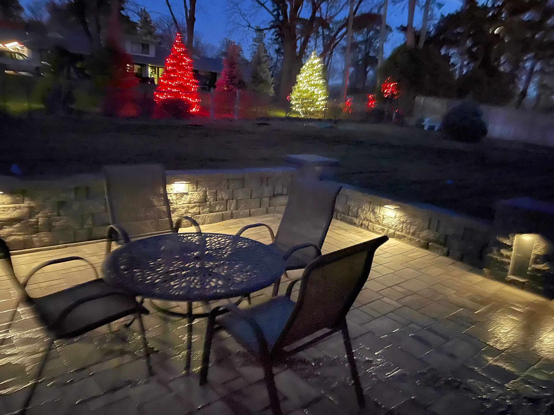 Outdoor LED Lighting trees