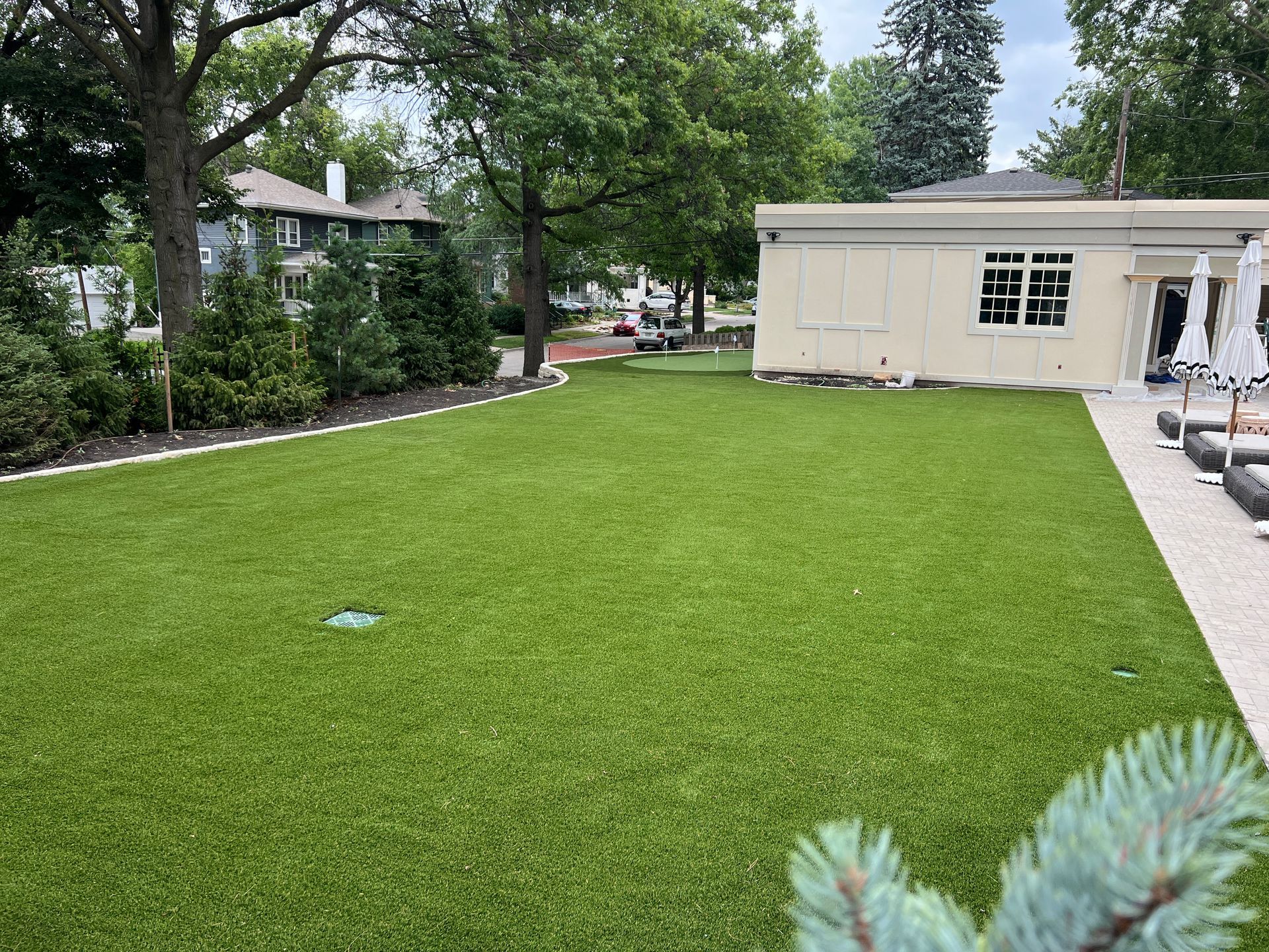 Artificial Turf 1