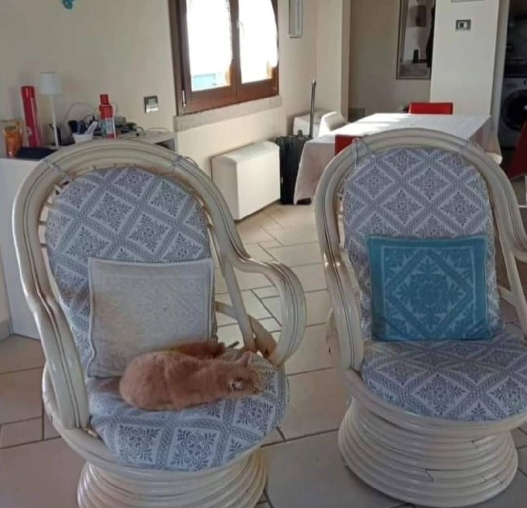 Un gatto è sdraiato su una sedia in un soggiorno