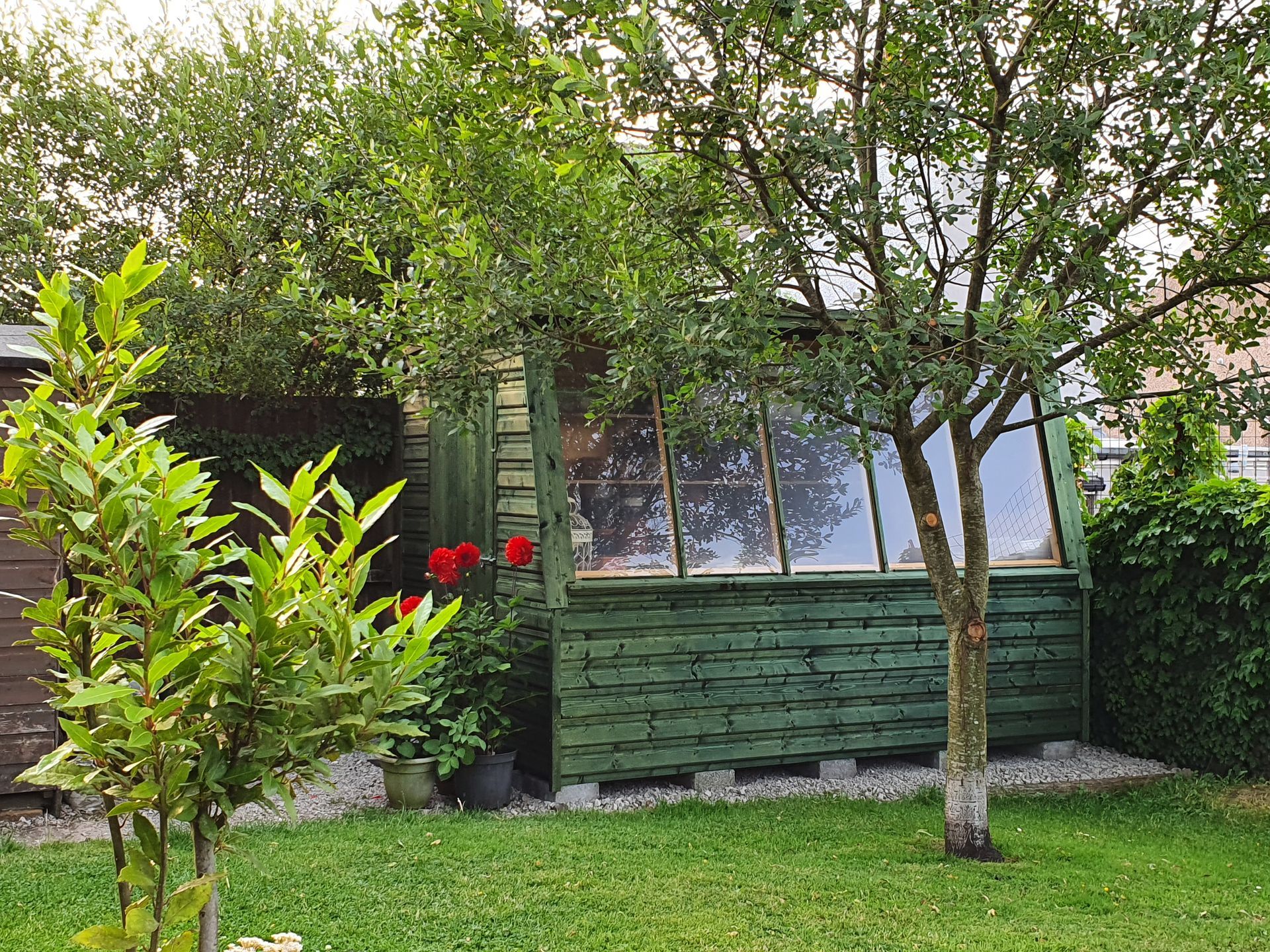 Potting shed painted in Holly Green