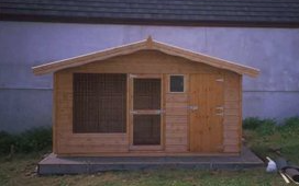 another photo of a kennel and run done with large window of mesh on the run to allow for light. small window to look into the kennel side and stable doors.