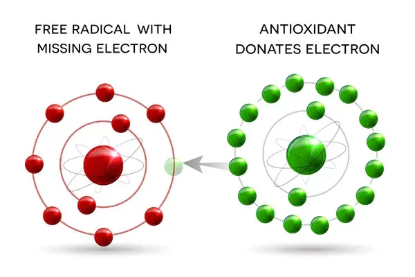 Antioxidents image