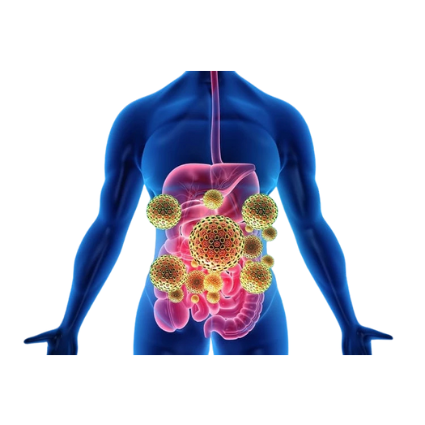 toxins in the body image