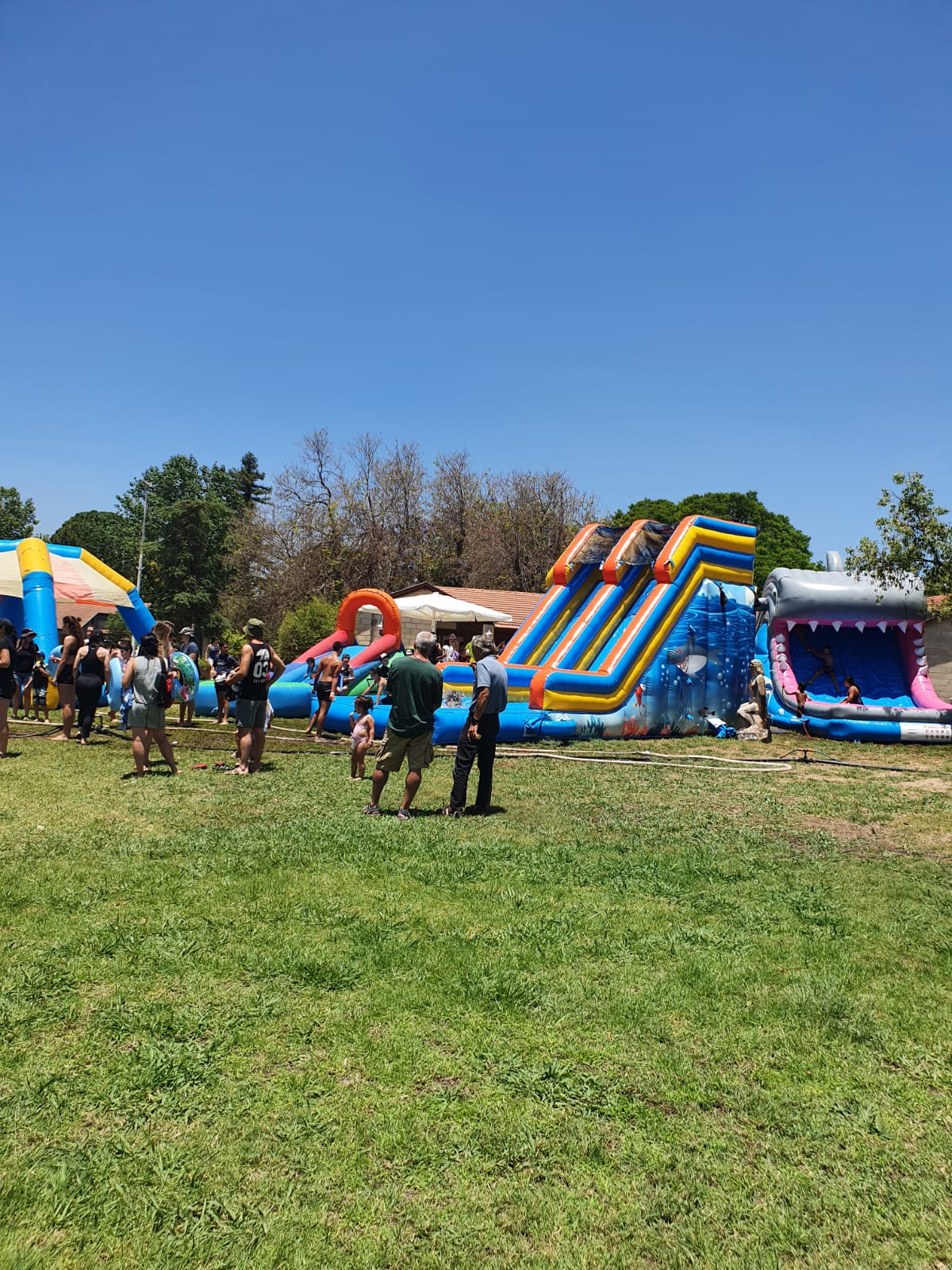 השכרת מתנפחים לבריכה