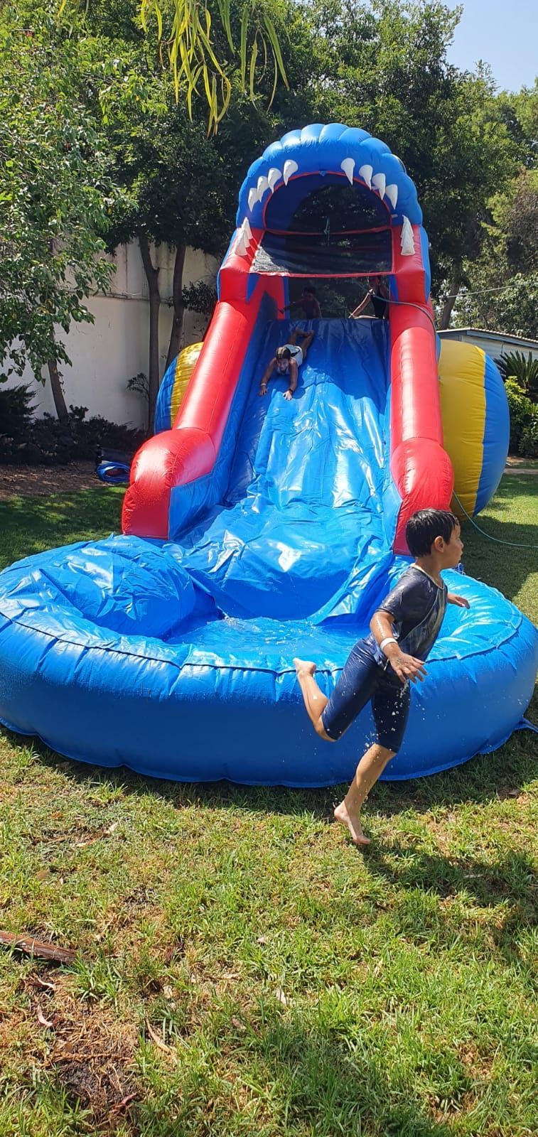 השכרת מתנפחים לבריכה