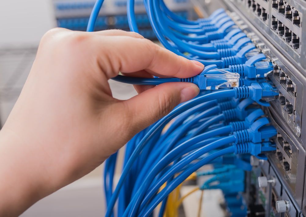 A Person Is Plugging A Blue Cable Into A Server — Black Label I.T. in Garbutt, QLD