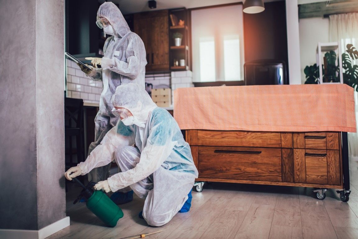 Two people in hazmat suits cleaning a kitchen floor with a green sprayer and tools