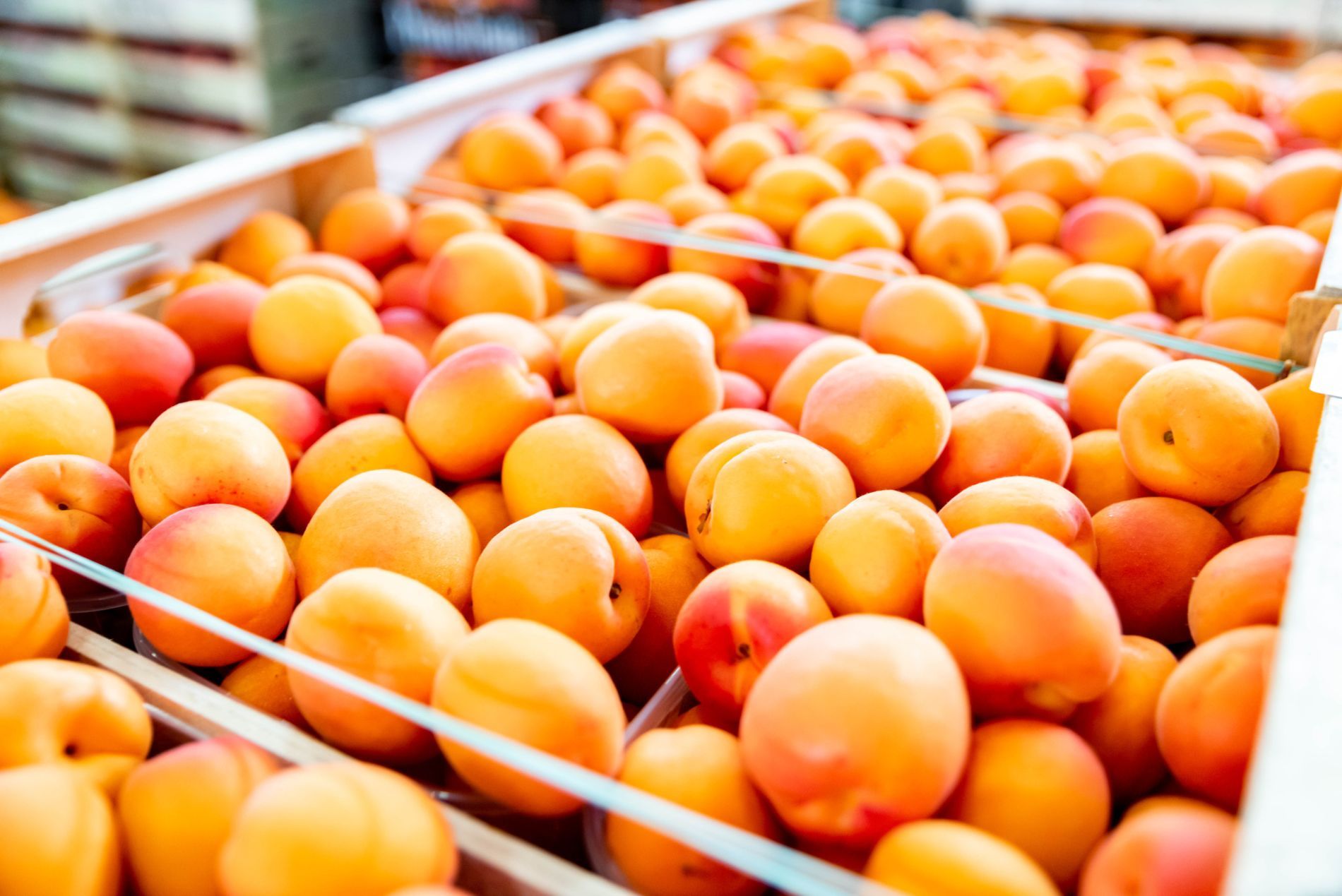 analisi della frutta