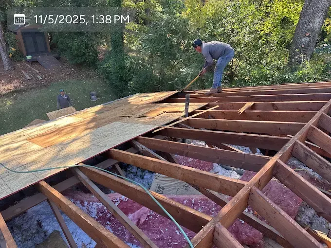 Person on a roof removing shingles, replacing plywood. Wooden roof structure, green and brown trees in the background.