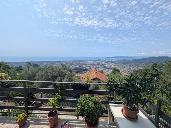 Un punto panoramico su una terrazza con piante in vaso, che offre una vista su una cittadina e sul mare in lontananza sotto un cielo luminoso e nuvoloso.