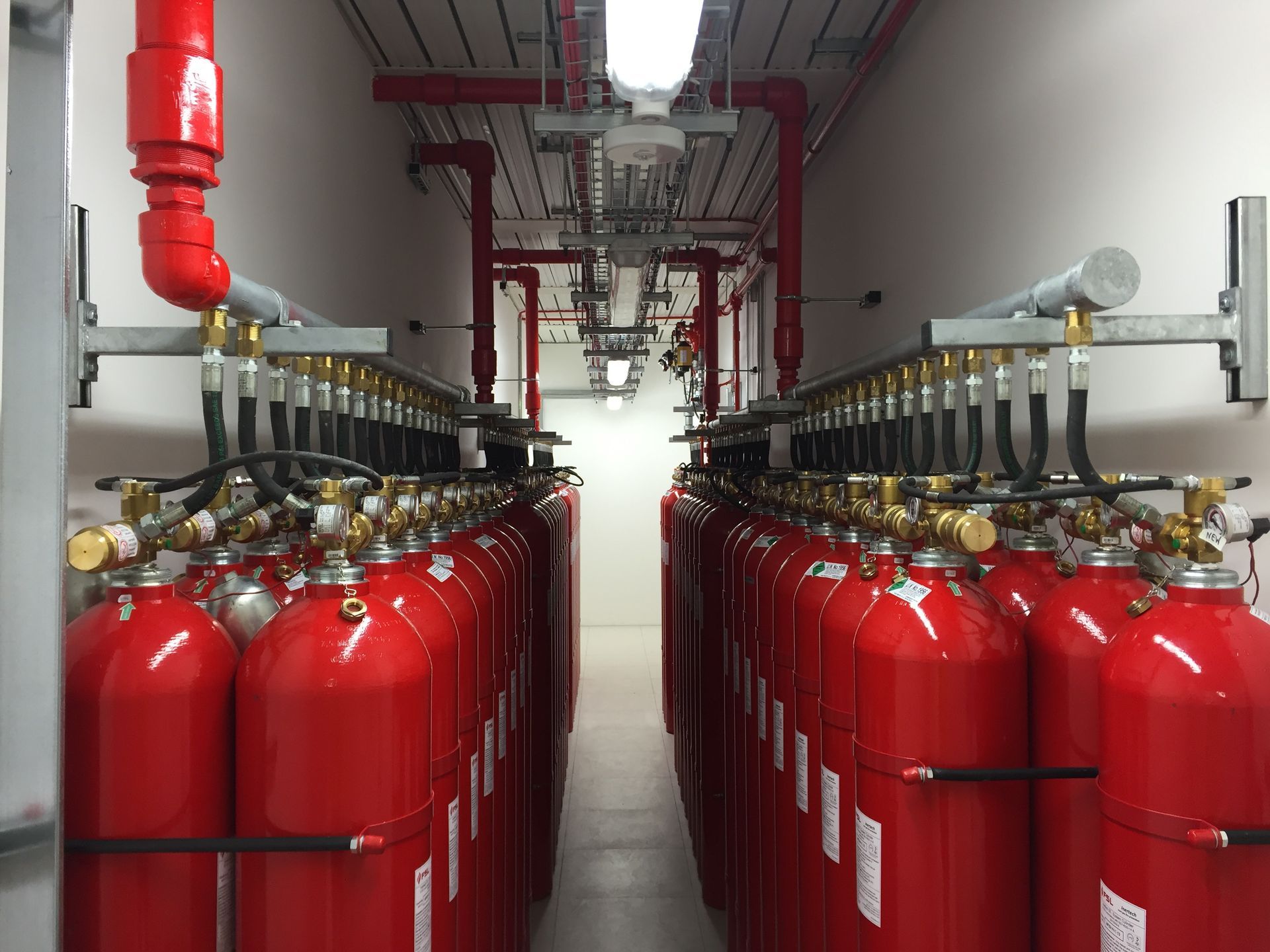 A row of red fire extinguishers are lined up in a room.