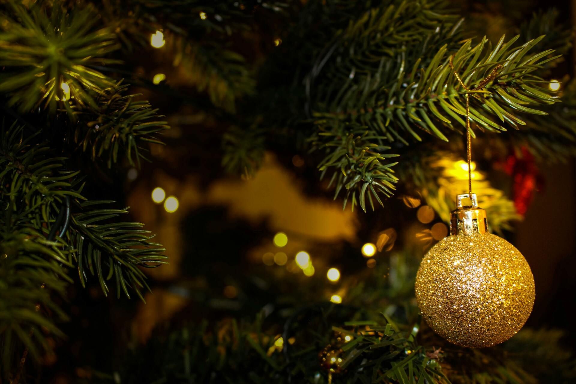 A close up of a christmas tree with a gold ornament hanging from it.