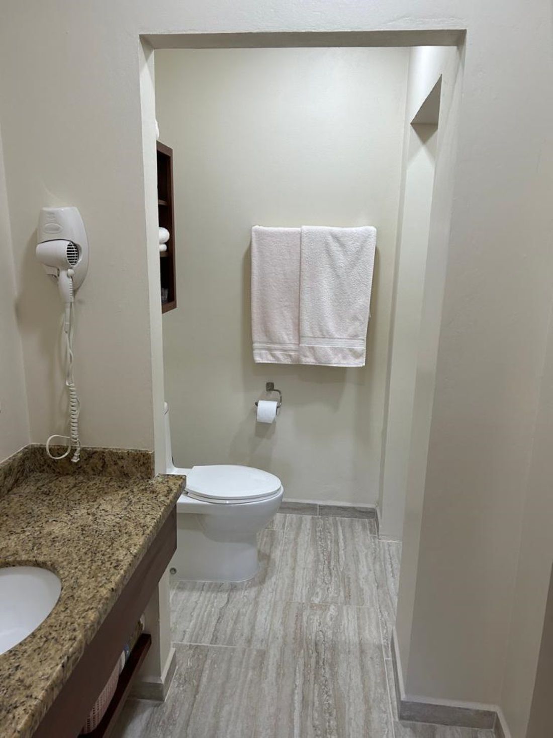 Toucan Suite bathroom with a toilet , sink , and towel dryer.