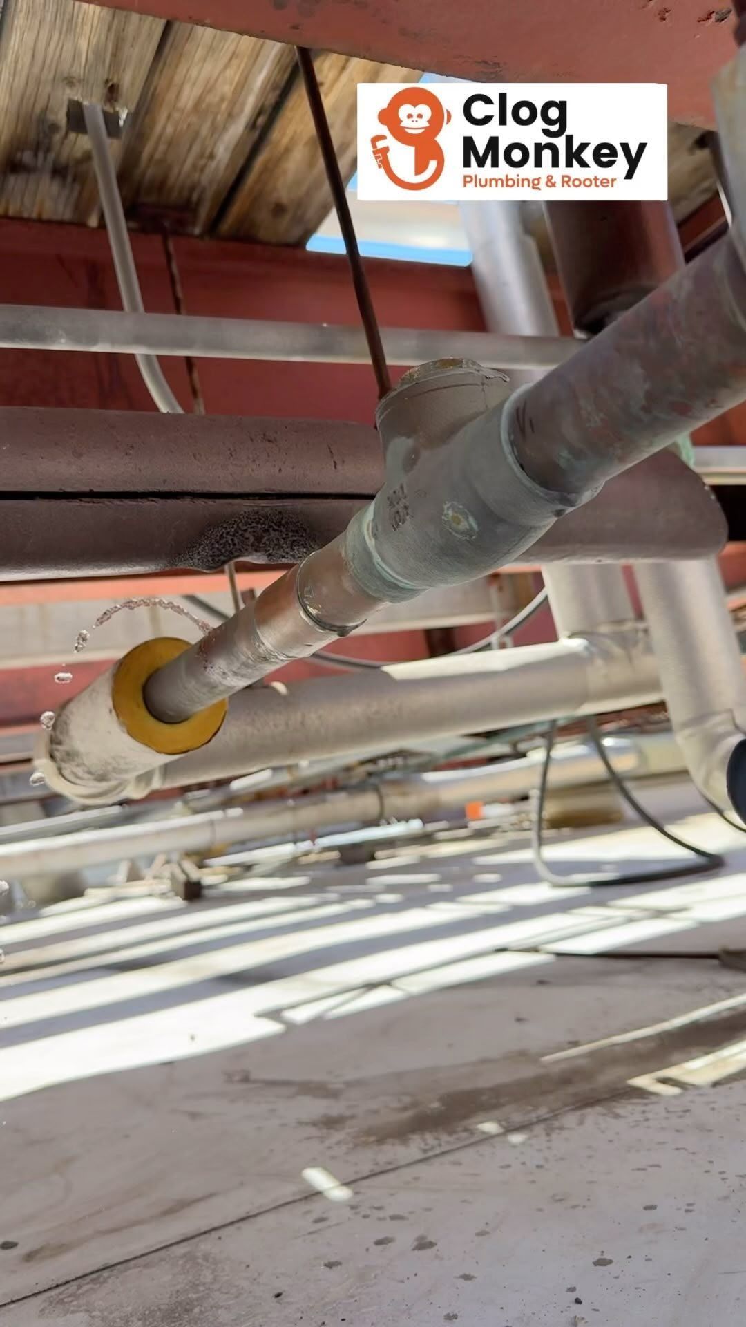 A bunch of pipes are hanging from the ceiling of a building.
