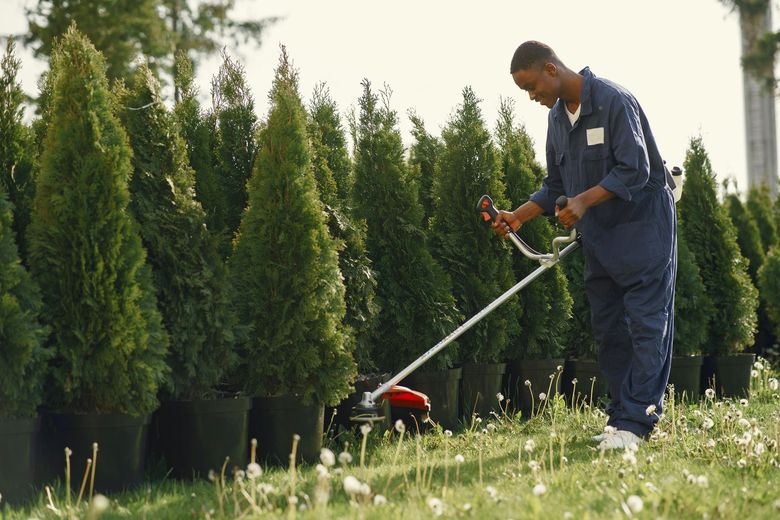 A man is using a lawn mower to cut the grass.