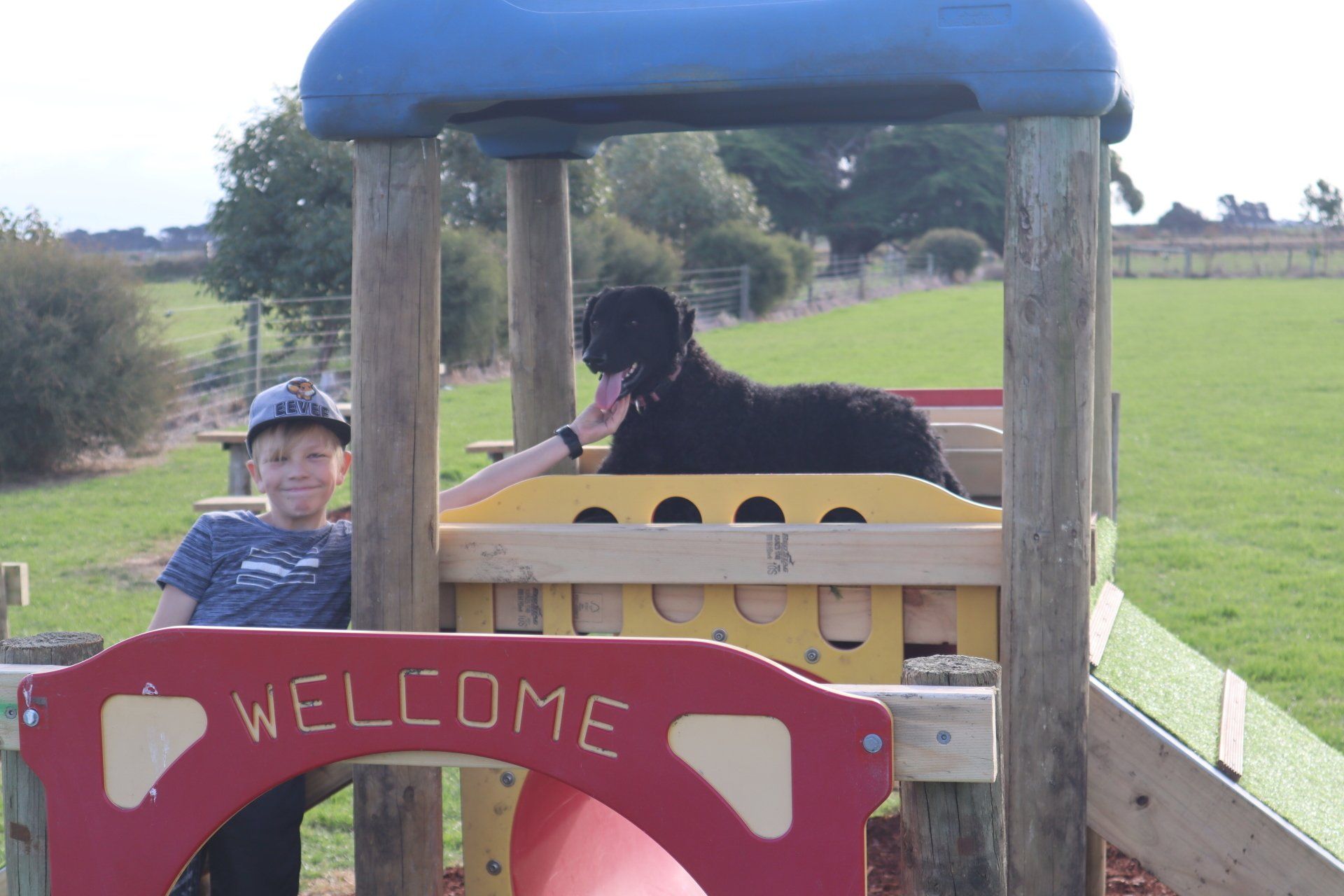 Boy and his pet dog playing on the adventure playground at Gum Tree Caravan Park