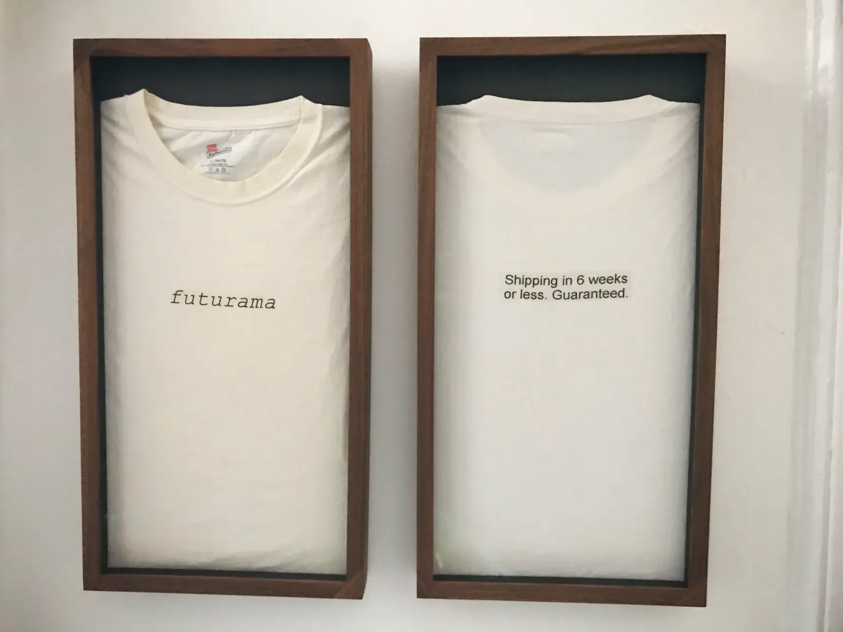 camisas estampadas como futurama