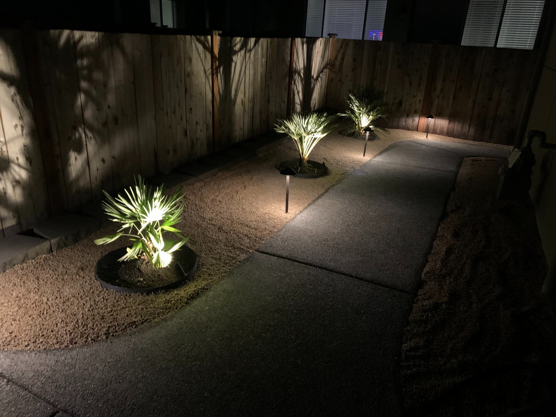 A backyard with a fence and plants lit up at night.