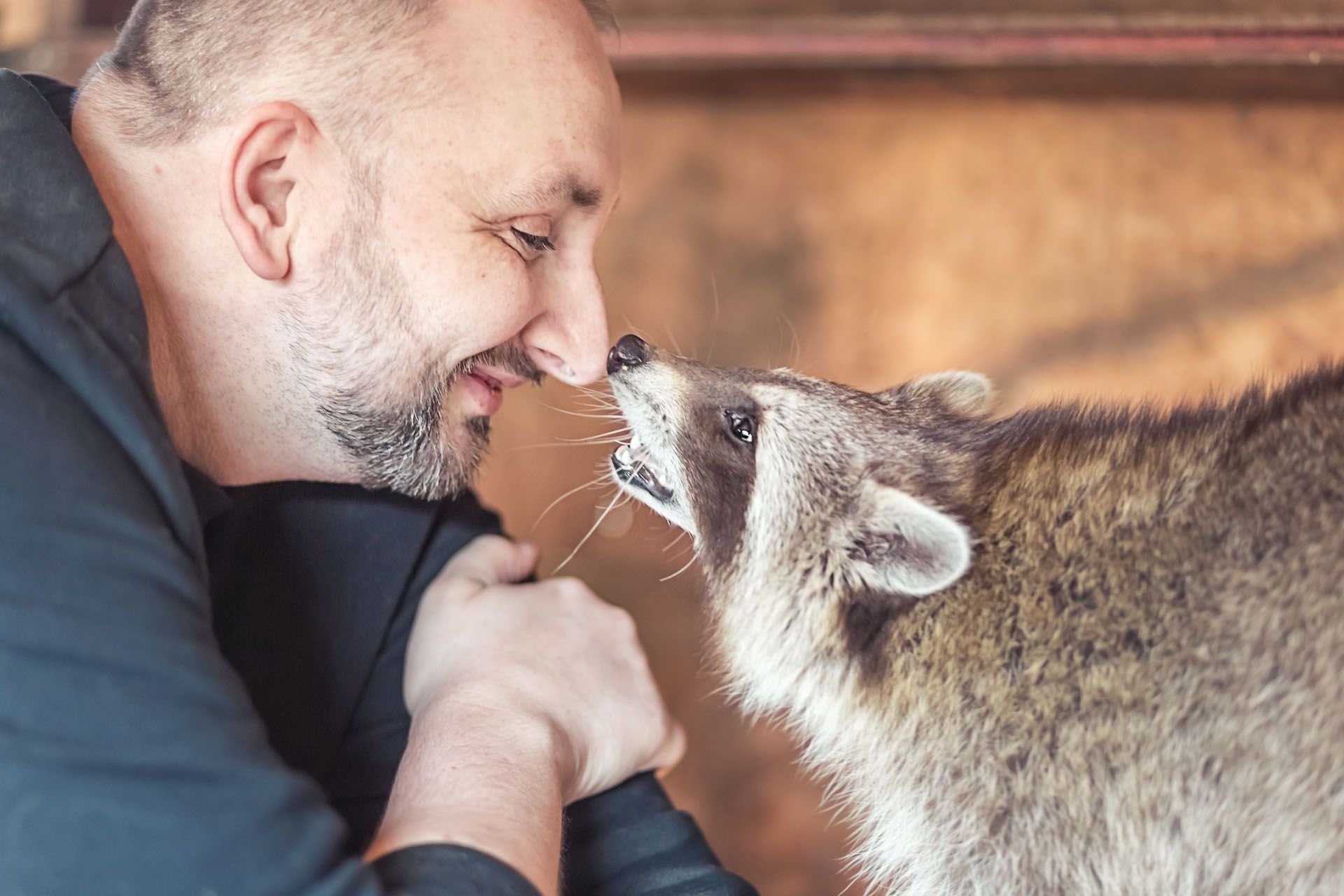 waschbären erleben mit  fotoshooting von herztierfotografie