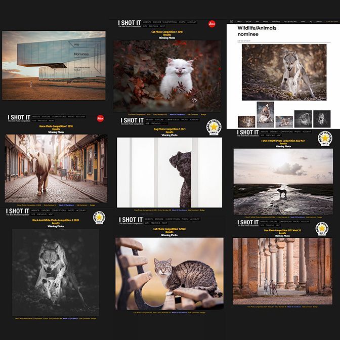 31 Awards in internationalen Fotowettbewerben