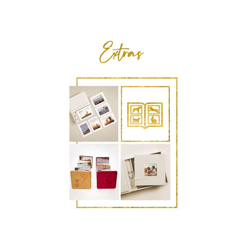 Fotoprodukte Hundefotografie Thüringen