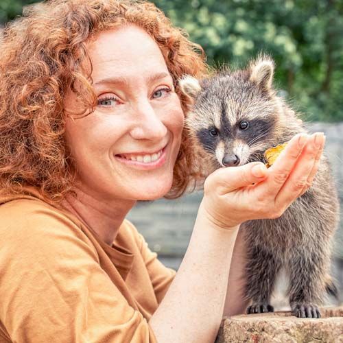 Fotoshooting mit Waschbären als Gutschein verschenken