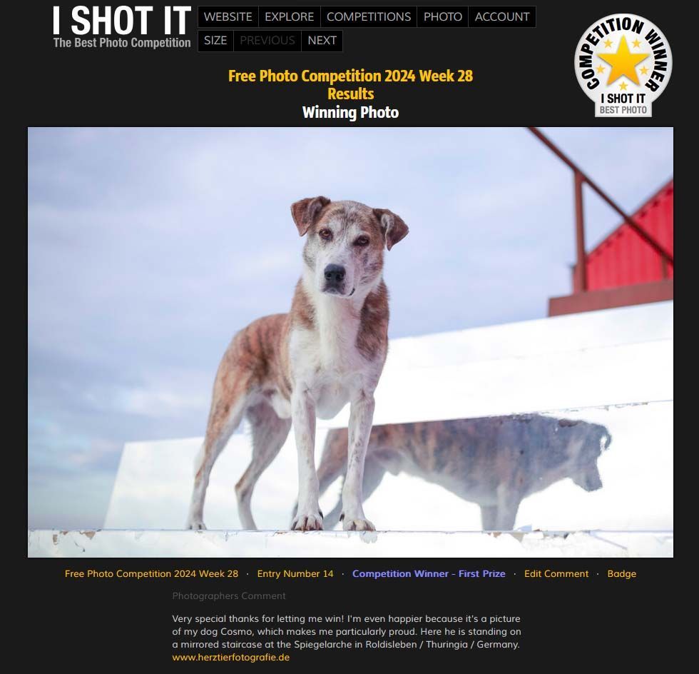 Ausgezeichnete Hundefotografie in Thüringen